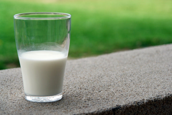 Plant-based Milk vs Cow’s Milk: Which is Better