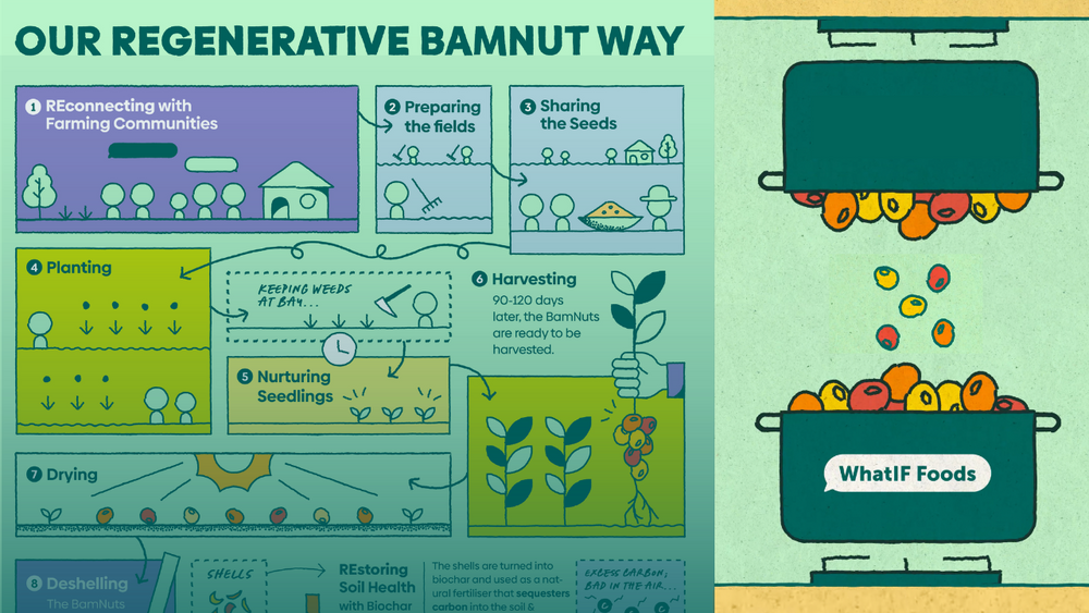 A new nut on the block – meet the Bambara groundnut